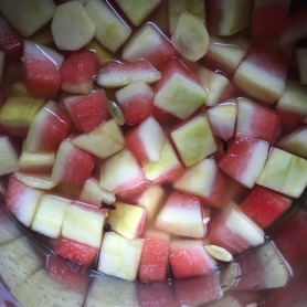watermelon3